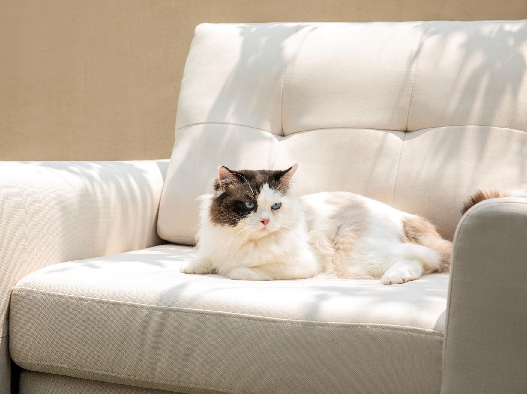 RUBIK III  1 Seat Armchair